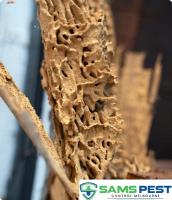 SAMS Termite Control Melbourne image 2